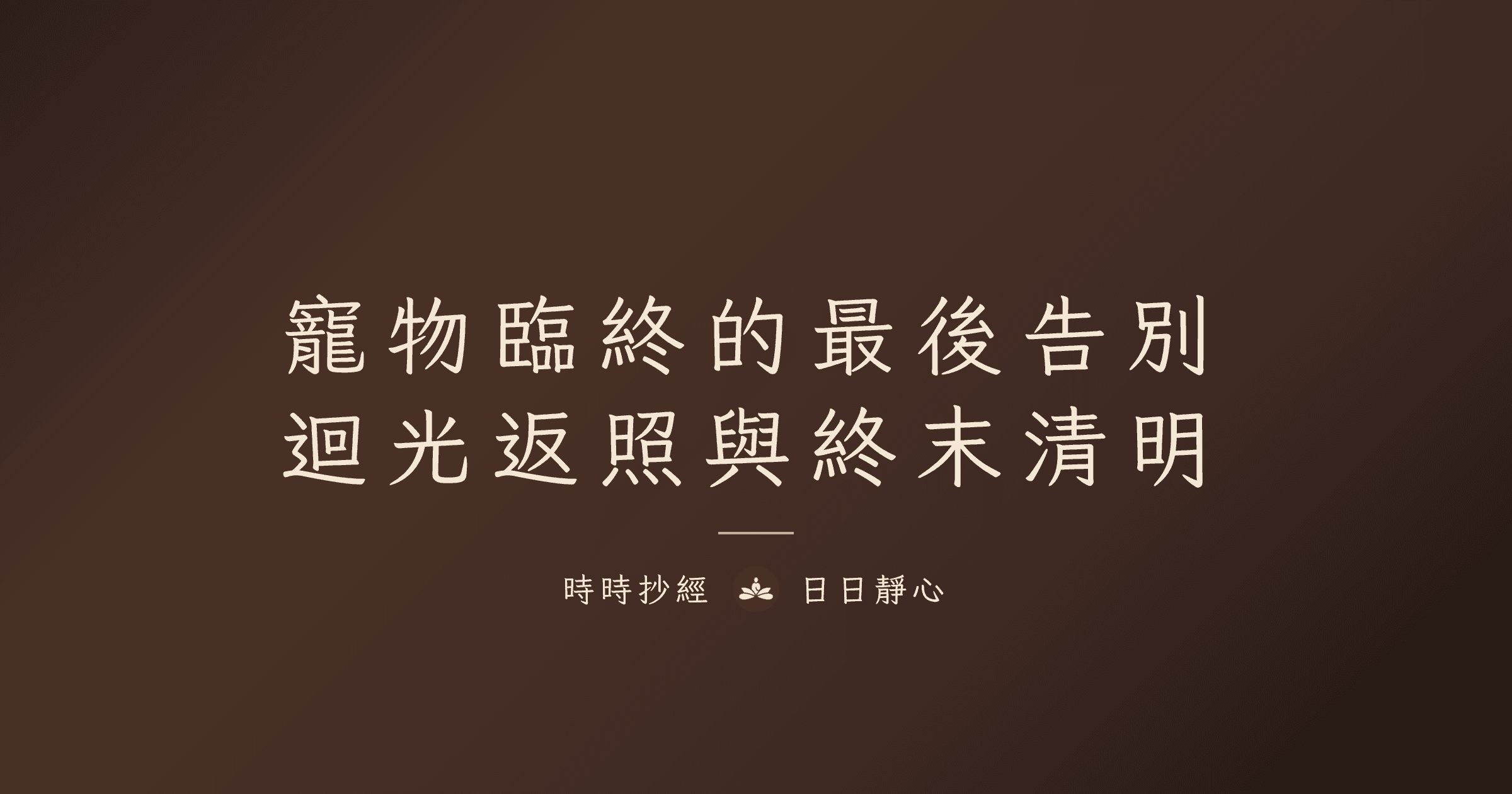 寵物臨終前會有什麼徵兆？最後告別、迴光返照與終末清明完整解析｜時時抄經