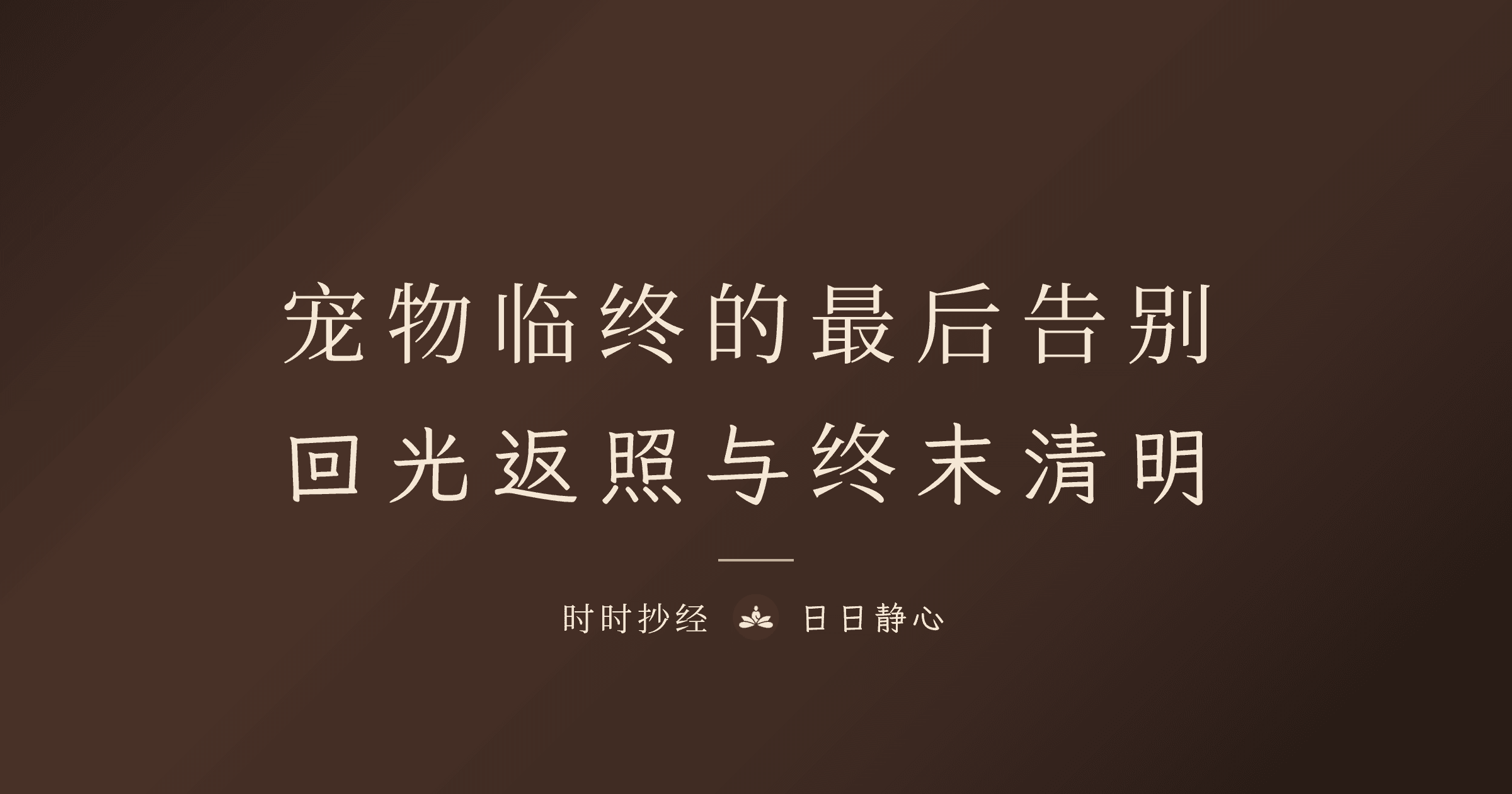 寵物臨終前會有什麼徵兆？最後告別、迴光返照與終末清明完整解析｜時時抄經