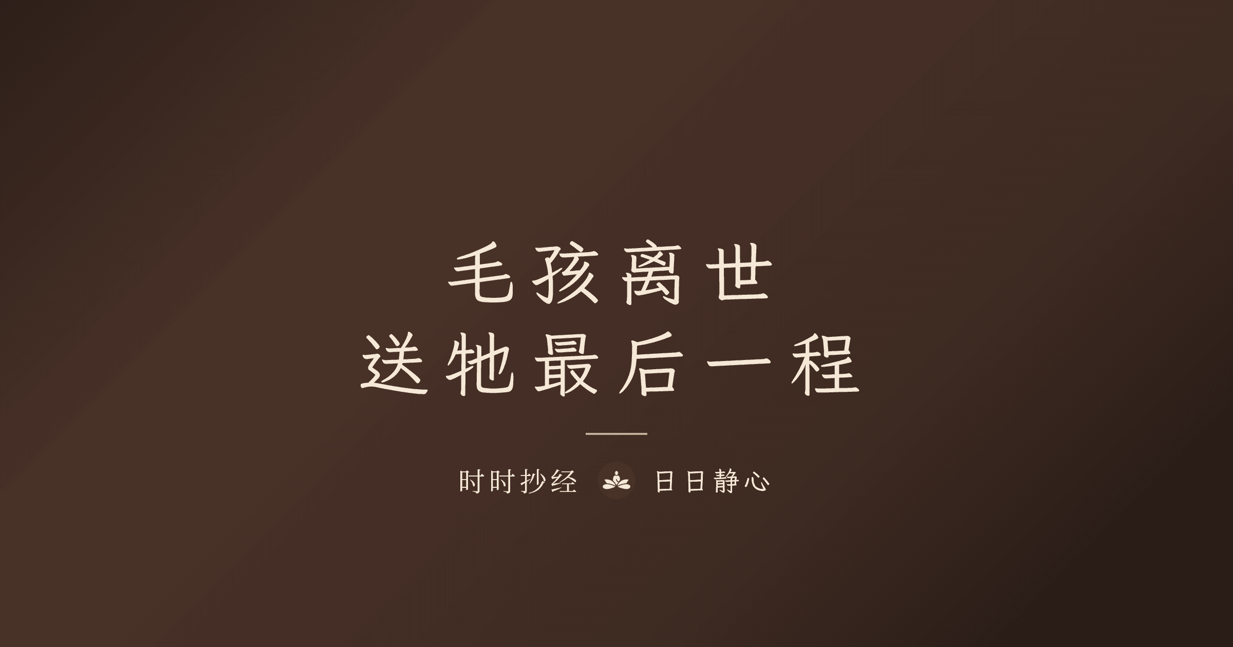 宠物往生回向怎么做？用抄经送毛小孩最后的祝福