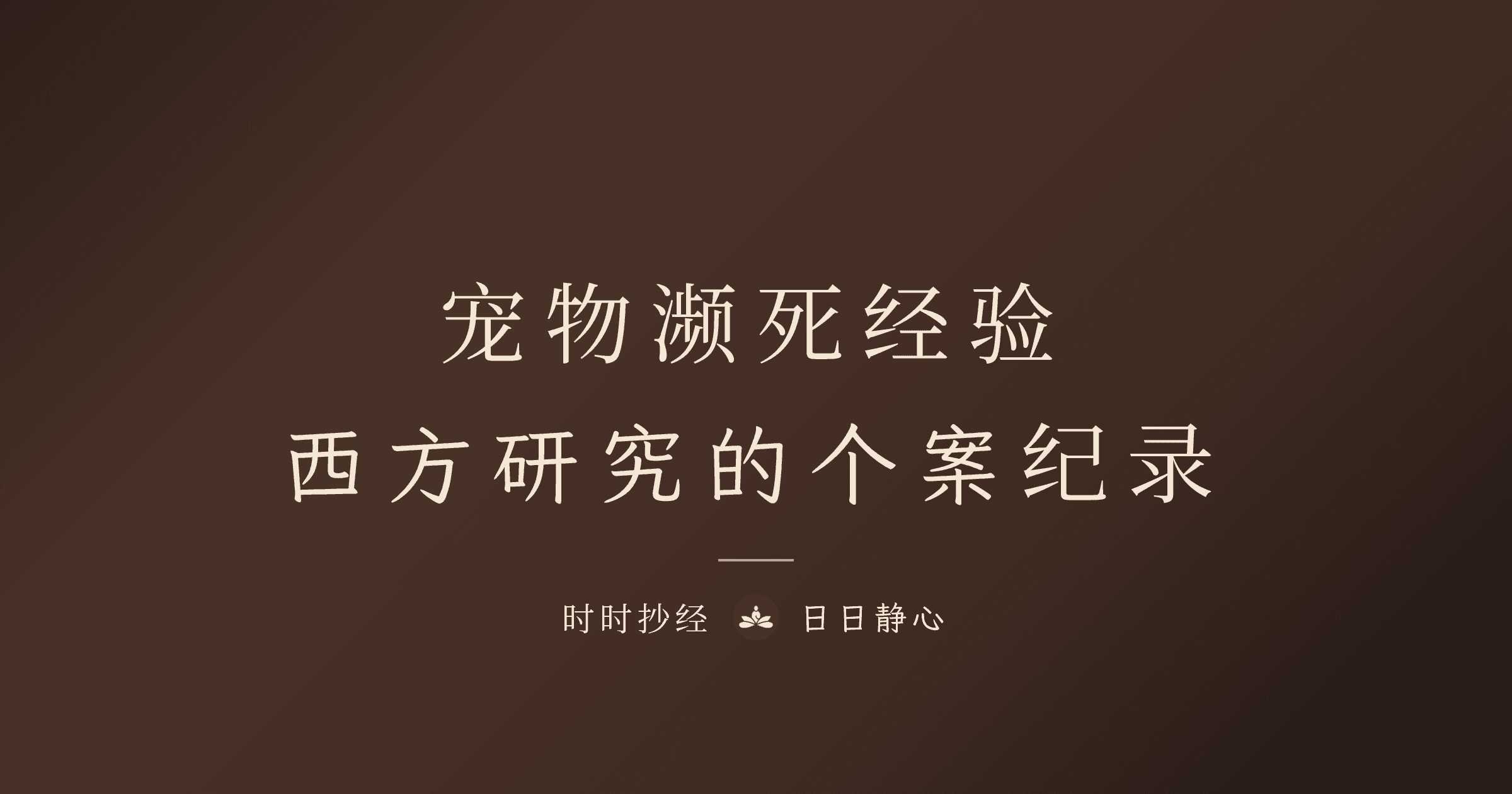 寵物會經歷瀕死經驗嗎？維吉尼亞大學瀕死研究的個案紀錄｜時時抄經
